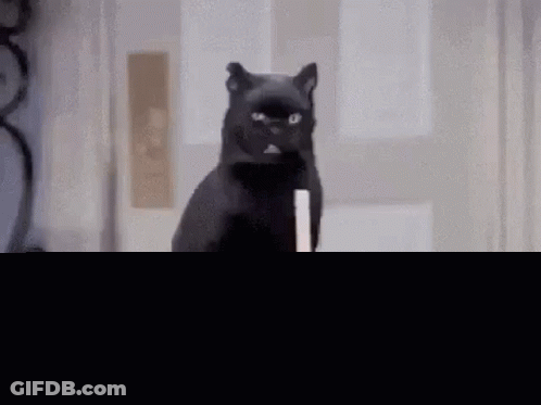 Black Cat Sitting On Cauldron With Book GIF
