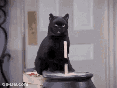 Black Cat Sitting On Cauldron With Candle In Mouth GIF