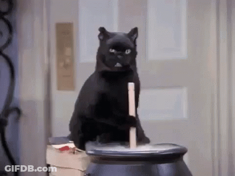 Black Cat Sitting On Cauldron With Stick GIF