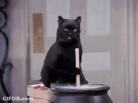 Black Cat Sitting On Cauldron With Stick GIF