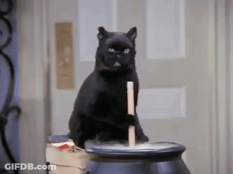 Black Cat Sitting On Cauldron With Stick GIF