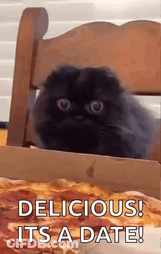 Black Cat Sitting On Chair Next To Pizza GIF
