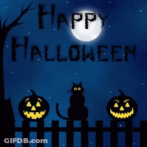 Black Cat Sitting On Fence With Pumpkins Happy Halloween GIF