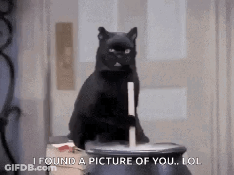 Black Cat Sitting On Pot Saying I Found A Picture Of You Lol GIF