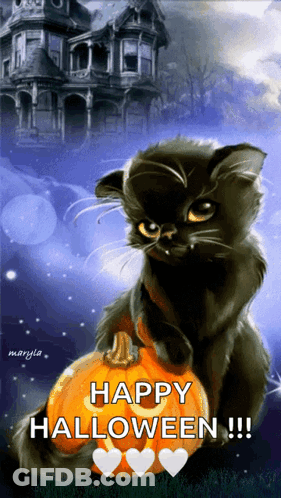 Black Cat Sitting On Pumpkin Happy Halloween GIF