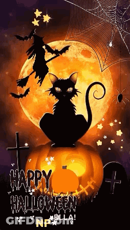 Black Cat Sitting On Pumpkin With Witch Flying Overhead GIF
