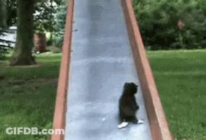 Black Cat Sitting On Slide GIF