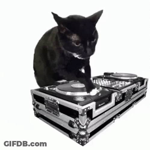 Black Cat Sitting On Turntable Saying Scratch Scratch Scratch GIF