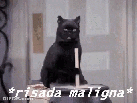 Black Cat Sitting With Candle In Mouth GIF