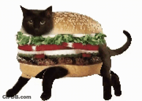 Black Cat Standing In Front Of Hamburger GIF