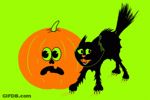 Black Cat Standing Next To Orange Pumpkin GIF
