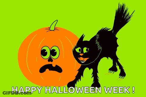Black Cat Standing Next To Orange Pumpkin Sad Face Happy Halloween Week GIF