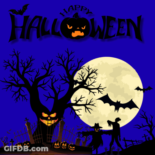 Black Cat Standing Next To Orange Pumpkin GIF