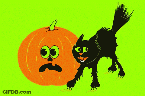 Black Cat Standing Next To Orange Pumpkin With Sad Face GIF