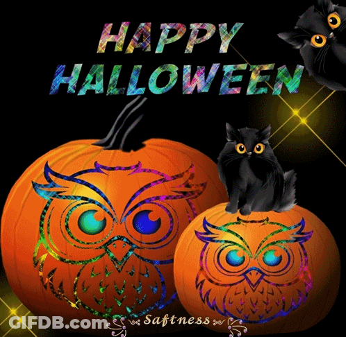 Black Cat Standing Next To Sad Pumpkin Saying Happy Halloween Week GIF