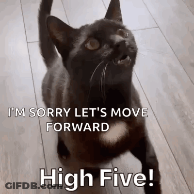 Black Cat Standing On Wooden Floor Looking Up At Camera GIF