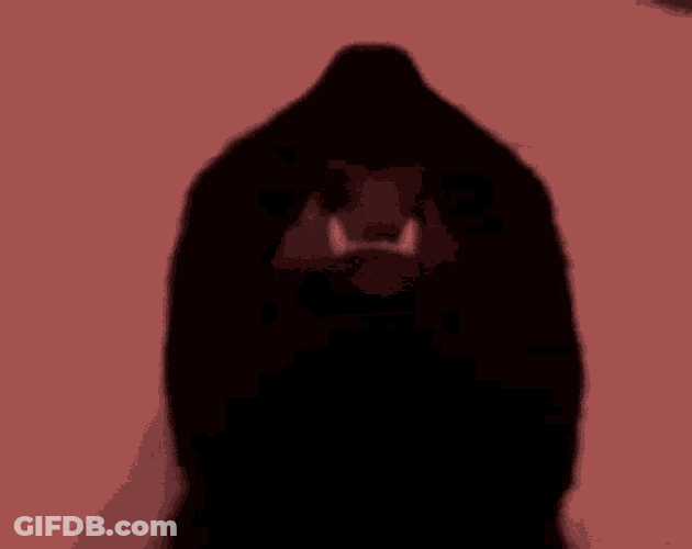 Black Cat Stare GIF