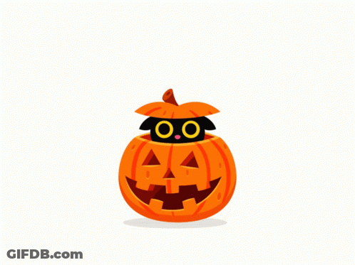 Black Cat Sticking Head Out Of Pumpkin GIF