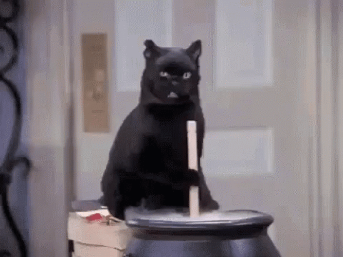 Black Cat Stirring Soup GIF