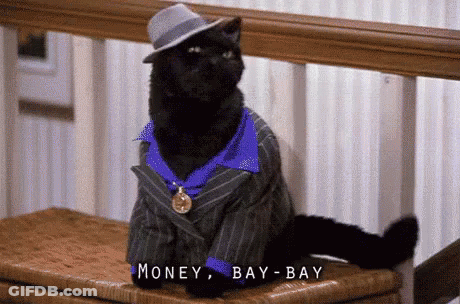 Black Cat Suit Hat Money Bay Bay GIF