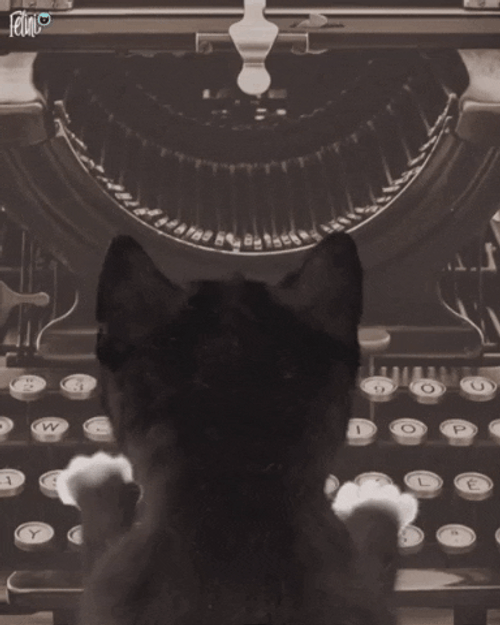 Black Cat Typing Meow GIF