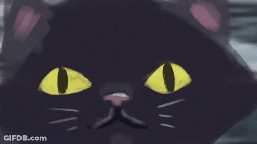 Black Cat Vibing GIF