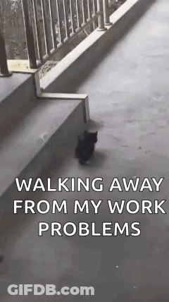 Black Cat Walking Down Stairs Away From Work Problems GIF