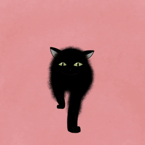 Black Cat Walking Mochi Motion GIF