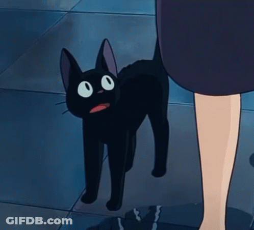 Black Cat Walking Next To Woman GIF