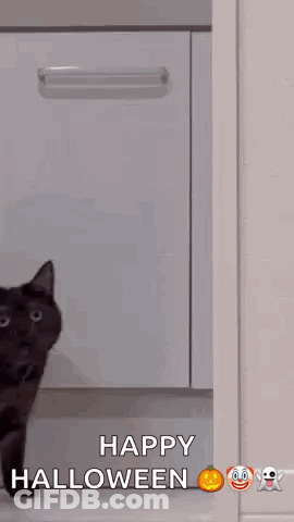 Black Cat Walking Through Doorway GIF