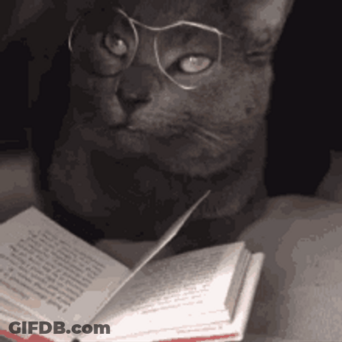 Black Cat Wearing Eyeglasses Reading Book GIF