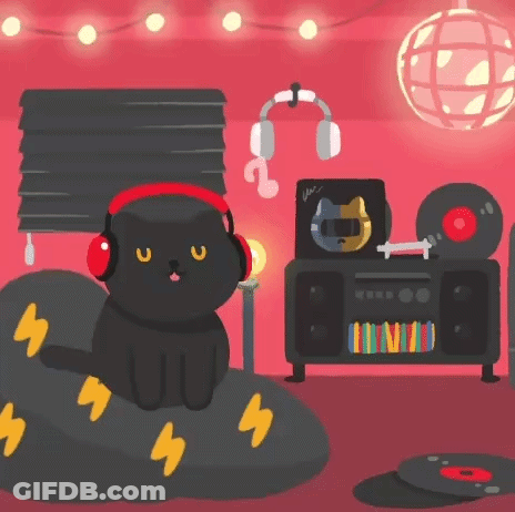 Black Cat Wearing Headphones On Rock GIF