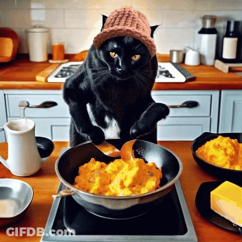 Black Cat Wearing Pink Hat Cooking Eggs GIF
