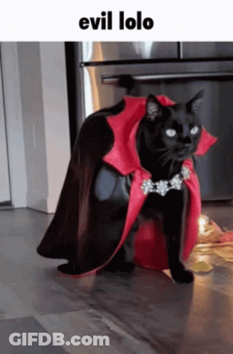 Black Cat Wearing Red Cape And Necklace Evil Lolo GIF
