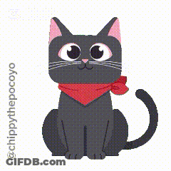 Black Cat Wearing Red Scarf GIF