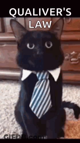 Black Cat Wearing Tie And Collar Saying Qualiver's Law GIF