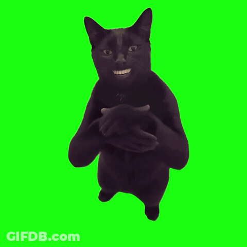 Black Cat With Arms Outstretched On Green GIF