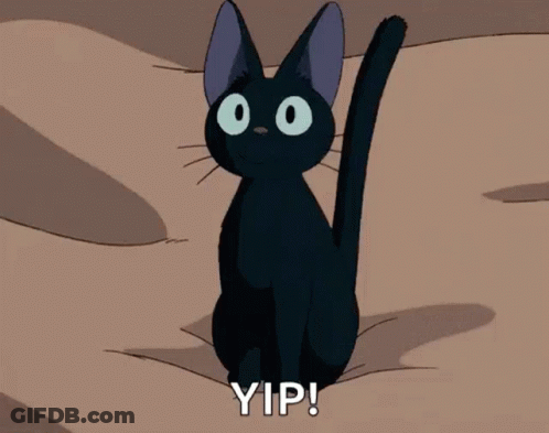 Black Cat With Big Eyes GIF