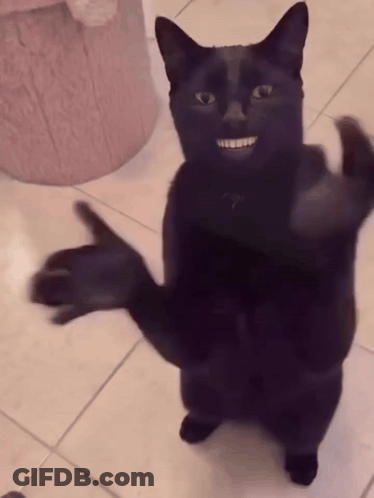 Black Cat With Big Smile GIF