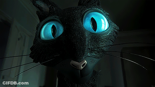 Black Cat With Blue Eyes And Nose GIF