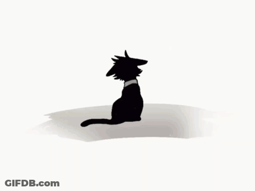 Black Cat With Blue Eyes And Red Tail GIF