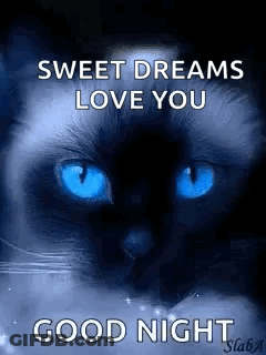 Black Cat With Blue Eyes And Sweet Dreams Love You GIF