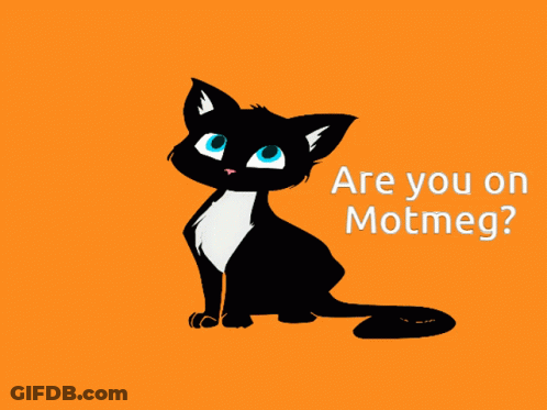 Black Cat With Blue Eyes Are You On Motmeg GIF