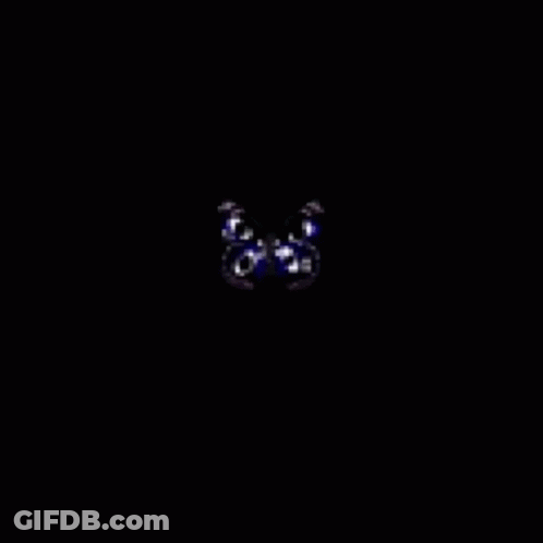 Black Cat With Blue Eyes Next To Pink Fox GIF