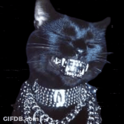 Black Cat With Chain And Necklace GIF