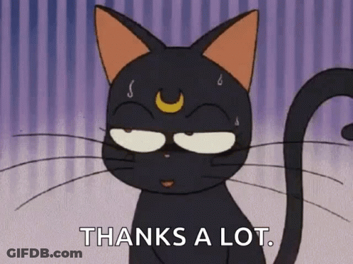Black Cat With Crescent Moon Saying Thanks GIF