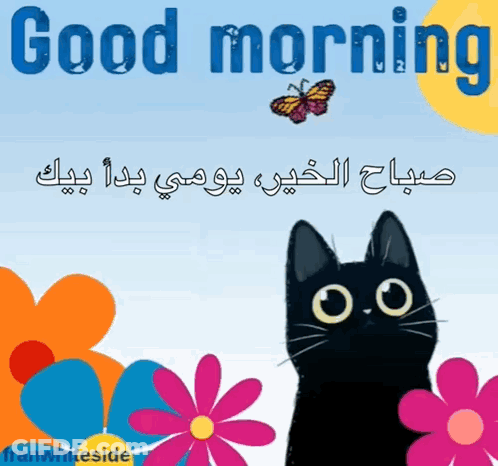 Black Cat With Flowers And Butterfly Saying Good Morning GIF