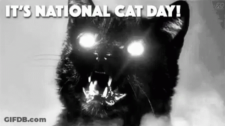 Black Cat With Glowing Eyes And Sharp Teeth National Cat Day GIF