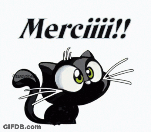Black Cat With Green Eyes And Merci Sign GIF
