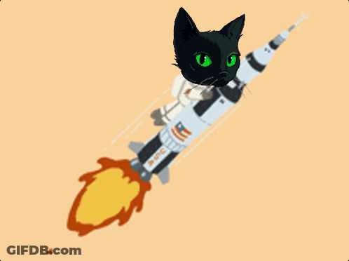 Black Cat With Green Eyes Flying On Rocket Saying USS Saturn GIF